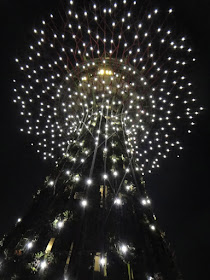 The lit up supertree at Gardens by the Bay