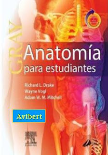 Anatomía para Estudiantes - Gray