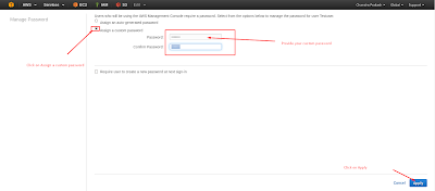 Assign a custom password