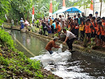 Dinas Perikanan Kabupaten Pasuruan Lepas 6000 Ikan di Sungai Purwodadi
