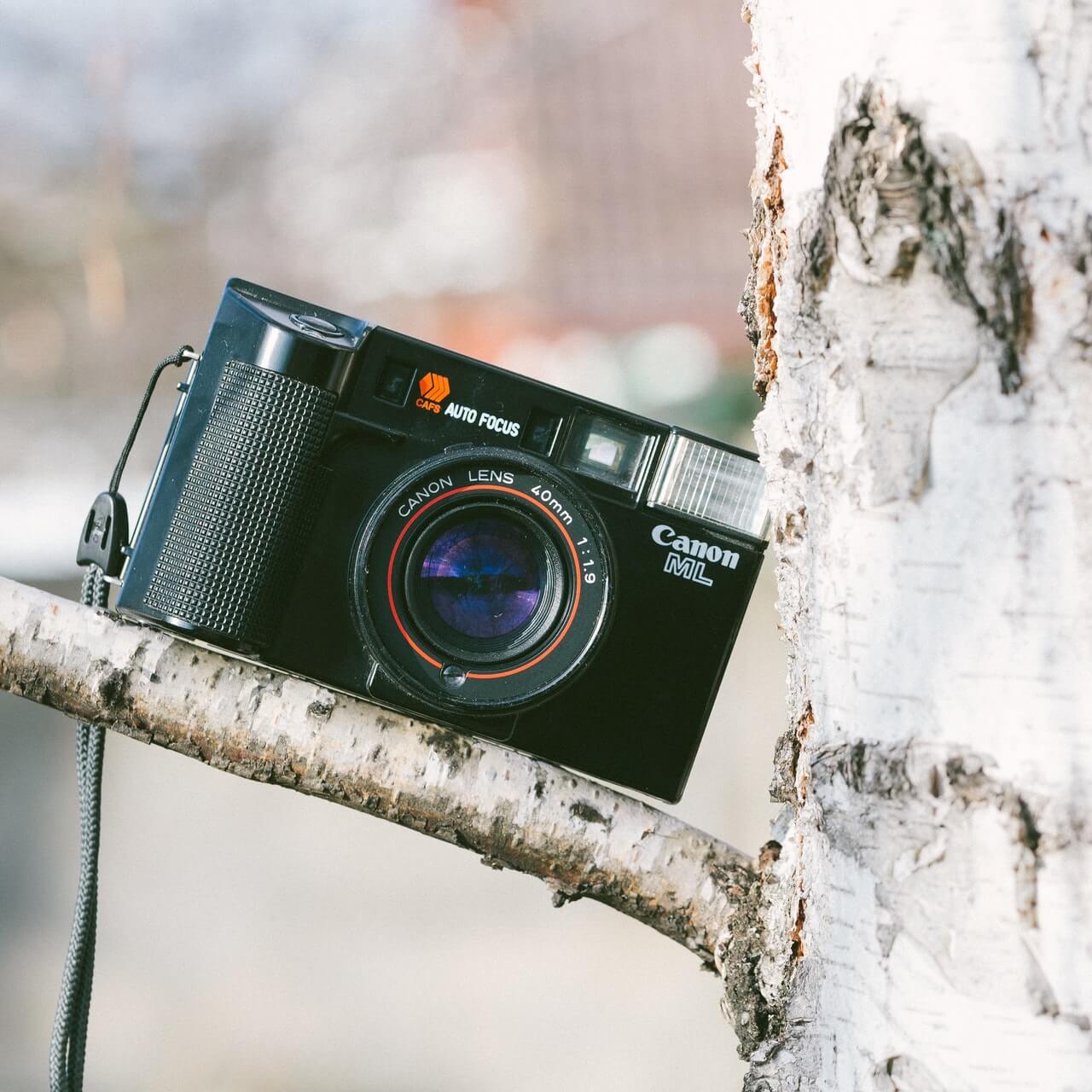 black canon camera standing over a tree | 20 Street Photography