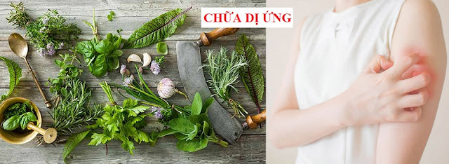 TOA THUỐC ĐÔNG Y CỔ TRUYỀN VIỆT NAM - CHỮA DỊ ỨNG