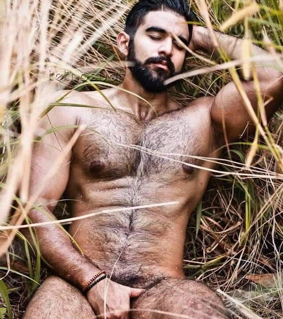 Wet and Furry - Kai Adikkum Aangal