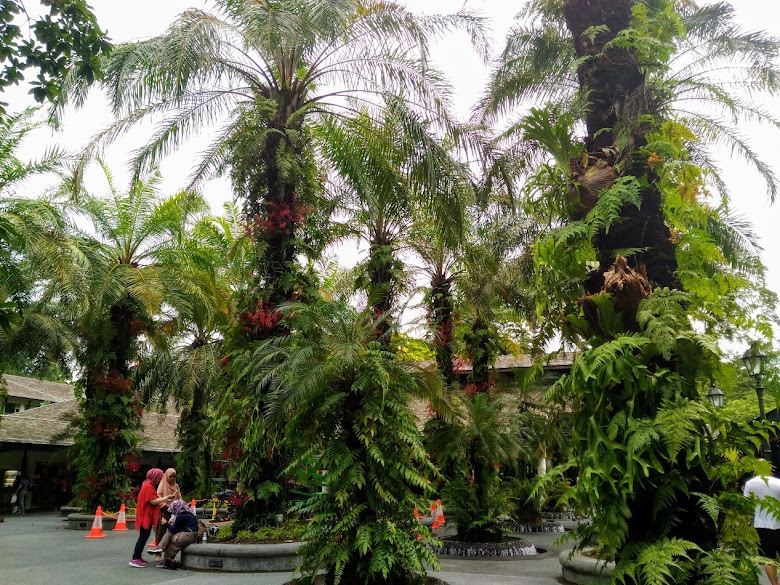 新加坡植物園內的休憩區