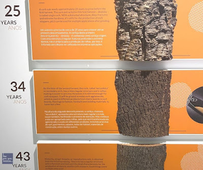 Age of the cork oak tree | the piri-piri lexicon