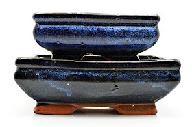 Bonsai Pots - Traditional Japanese Ceramic Bonsai Pot