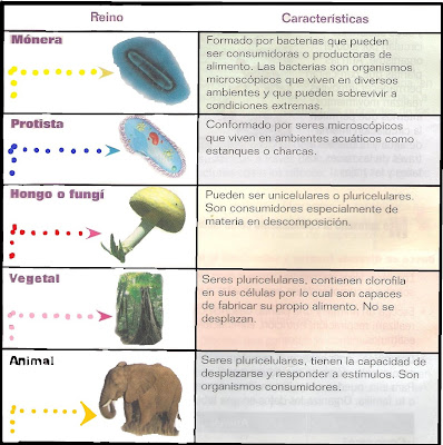 Resultado de imagen de REPRODUCCION DEL REINO DE LOS SERES VIVOS