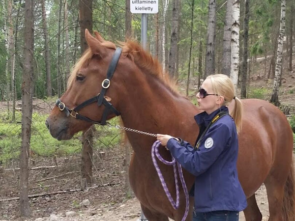 Koska kaikki muutkin..