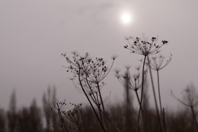 early February countryside in Norfolk