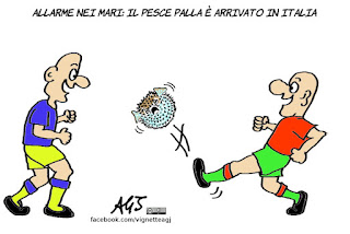 pesce palla, global warming, cambiamenti climatici, vignetta, satira