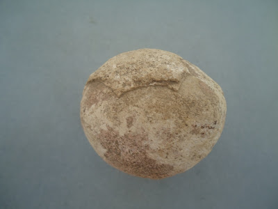 Authentic Prehistoric Fossilized Dinosaur Egg