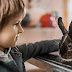 Should You Insure Your Rabbit 