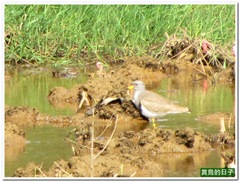 20120325_142802_042_TianLiaoyang