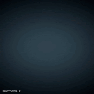 Download free good morning gif images online, English gifs photos for texting, ppt, WhatsApp, Facebook, Telegram, YouTube and other social media apps platforms on photoswale.com