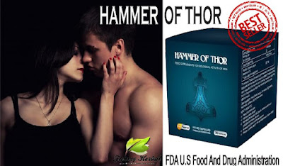 Hammer of thor obat kuat atasi ejakulasi dini