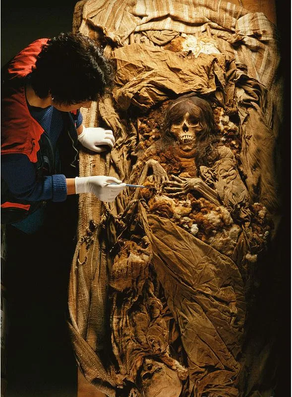 Astounding Discovery Of Mother And Child Inca Mummy From Lima’s Enigmatic Puruchuco-Huaquerone Cemetery ‎ - Mnews