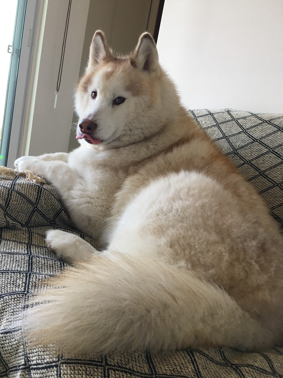 朝風呂 やっぱりお風呂好き