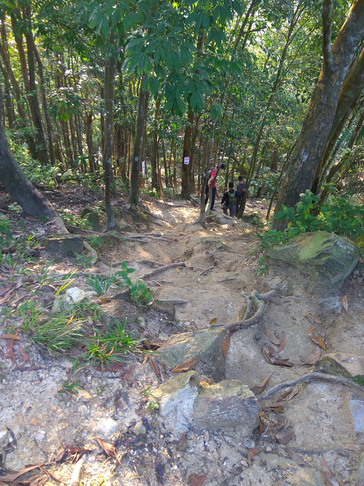 Cerita merepek meraban: FENDIxHIKING  BUKIT MELATI, NILAI