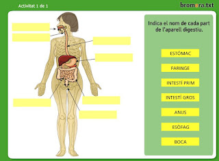 http://www.bromera.com/tl_files/activitatsdigitals/Natura_6v_PA/natura6_val_u01_pag09.swf