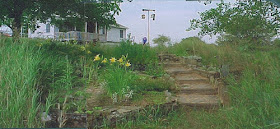 flower garden with steps