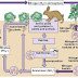 Nitrogen in soil
