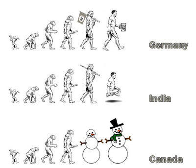 funny evolution pictures