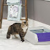 ScoopFree Self Cleaning Litter Box Petsafe