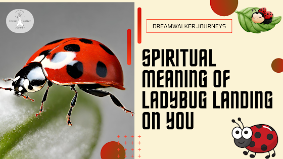 Spiritual meaning of ladybug landing on you