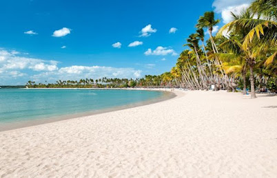 Playa La Ensenada: Republica Dominicana  Todo lo que Necesitas Saber