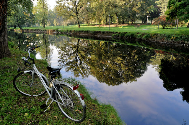 bici da donna