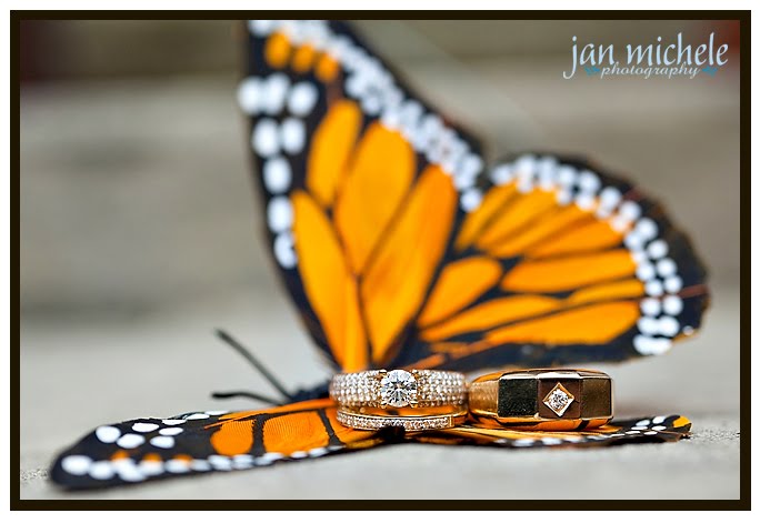 wedding rings on a butterfly