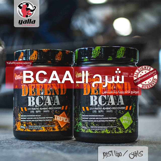 شرح تفصيلى و معلومات هامة عن الـ BCAA