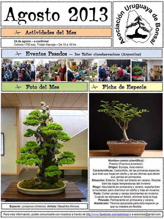 http://aubonsai.blogspot.com/2013/08/boletin-agosto-2013.html