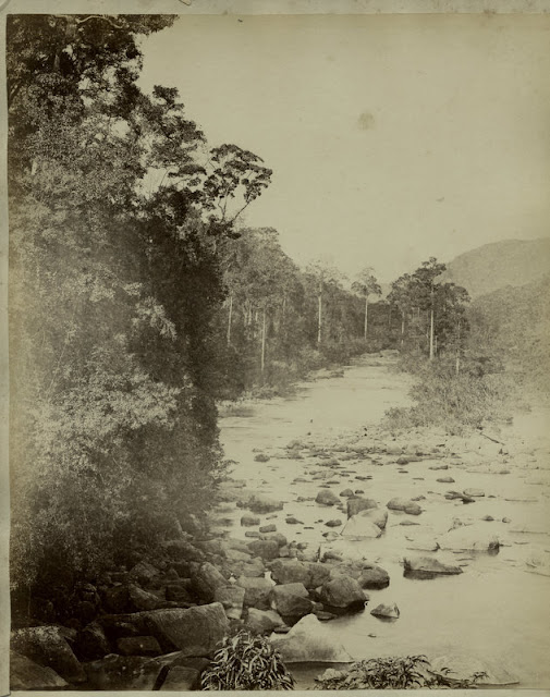 c.1890%2527s+PHOTO+INDIA+CEYLON+RIVER+TREES+AND+ROCKS