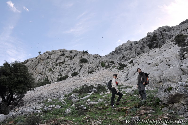 Subida al Pico de los Pinos