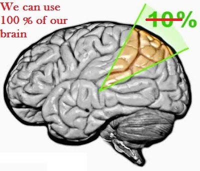10% brain myth, brain facts