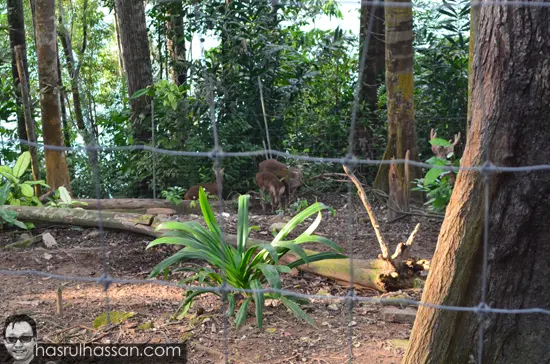 Rumah Peranginan Persekutuan Tasik Kenyir