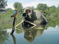 Fotos de encuentros entre fotógrafos y animales