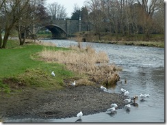 bridge