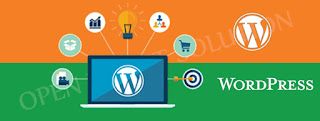 Wordpress theme/plugin development training in NEPAL-kathmandu-lalitpur