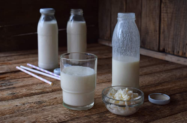 Bolehkah Minum Minuman Probiotik Setiap Hari?