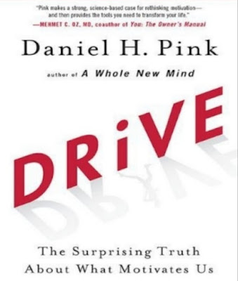 Drive The Surprising Truth About What Motivates Us