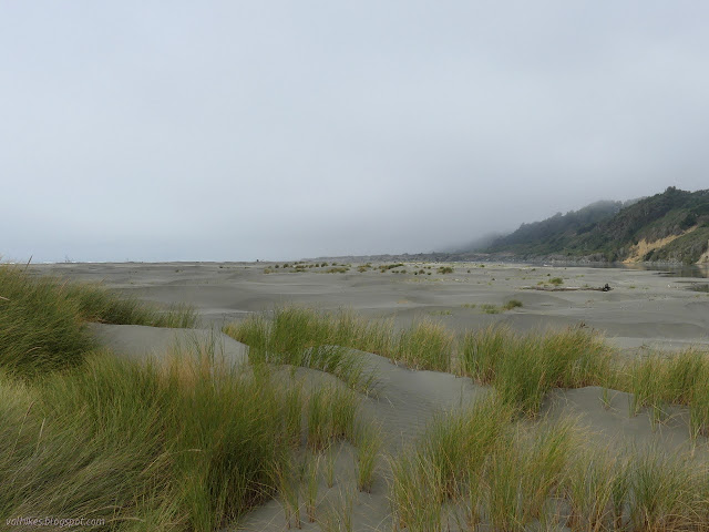 patches of grass in the sand