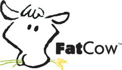 FatCow coupons