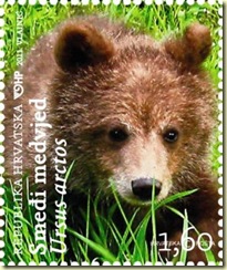 Brown bear