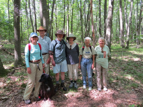 hikers