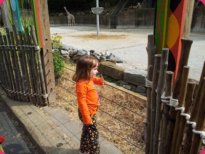 2012-10-05 14.41.52