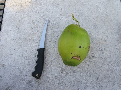 fillet knife and fresh green coconut