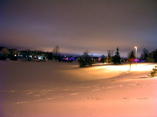 Winter night Photo by Bogdan Fiedur