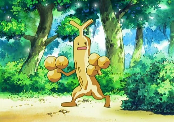 Sudowoodo Dourado Anime Pokémon